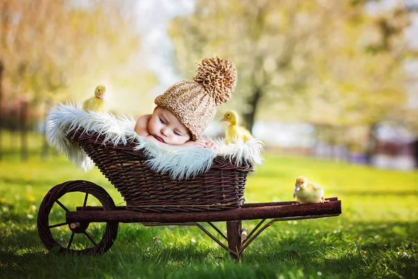 Beautiful little baby boy, sleeping with three little ducklings — Stock Photo, Image