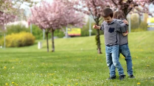 Двое детей, братья, дерутся в парке, весна — стоковое видео