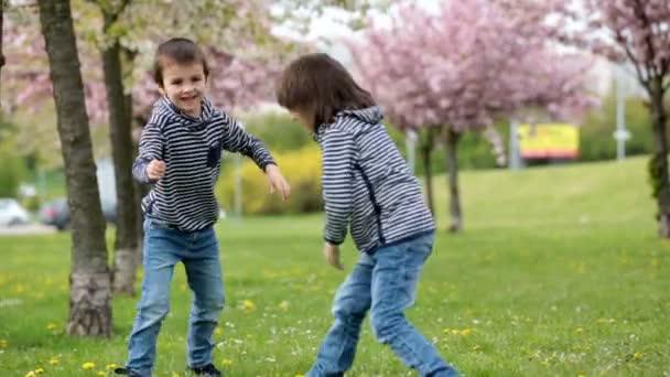 Dos niños, hermanos, peleando en un parque, en primavera — Vídeo de stock