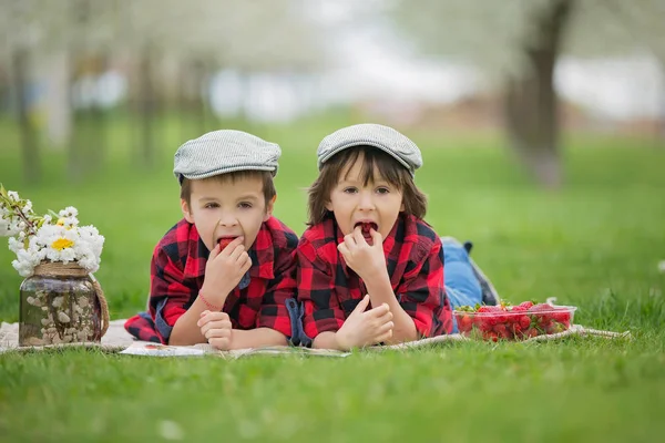 Two children, boy brothers, reading a book and eating strawberri — Stock Photo, Image