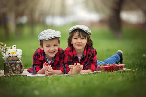 Dos niños, hermanos, leyendo un libro y comiendo fresa —  Fotos de Stock