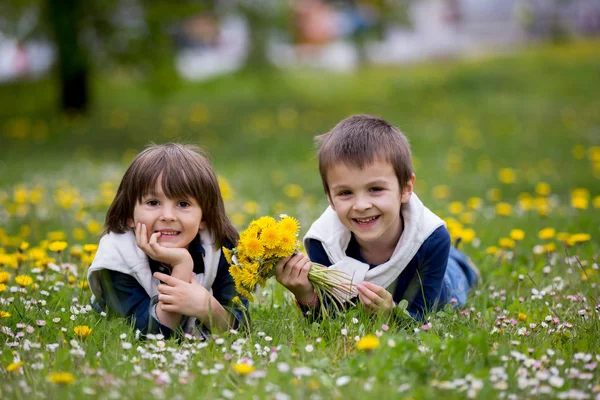 Süße Kinder, Jungen, Löwenzahn und Gänseblümchen sammeln — Stockfoto