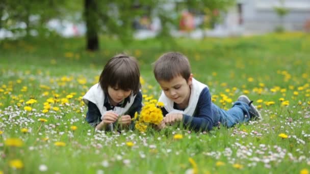 Süße Kinder, Jungen, Löwenzahn und Gänseblümchen sammeln in einem Frühlingsfeld — Stockvideo