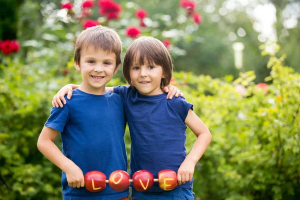 Leuke lieve kinderen, jongen broers, houden een teken van de liefde, gemaakt fr — Stockfoto