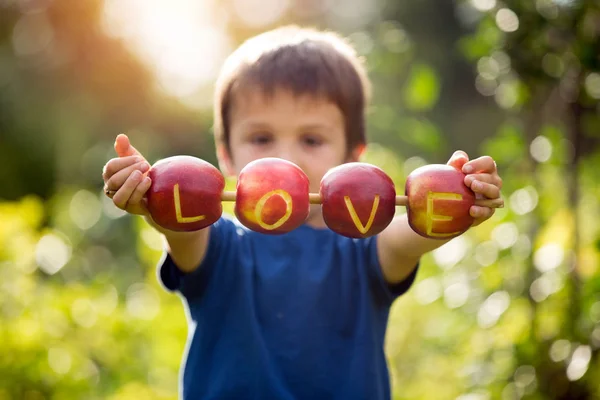 Söta lilla barn, pojke, har en skylt med kärlek, gjord på äpplen, l — Stockfoto
