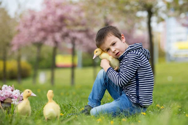 Ördek yavrusu ile parkta oynayan sevimli tatlı çocuk, çocuk, — Stok fotoğraf