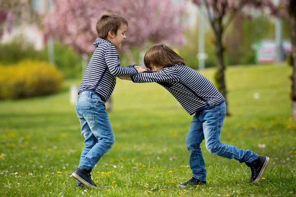 Twee kinderen, broers, vechten in een park — Stockfoto