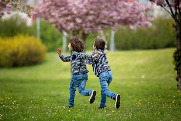 Двое детей, братья, дерутся в парке — стоковое фото