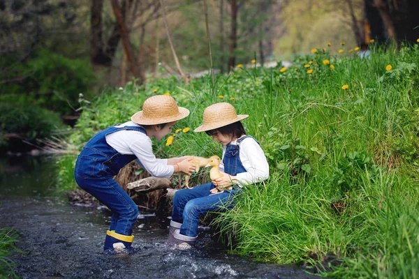 Gyermekek játszanak a little river kiskacsán — Stock Fotó
