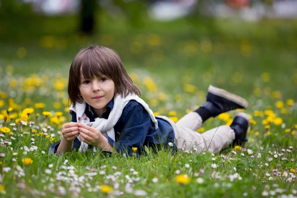 Sweet child, boy, gathering dandelions and daisy flowers — Stock Photo, Image