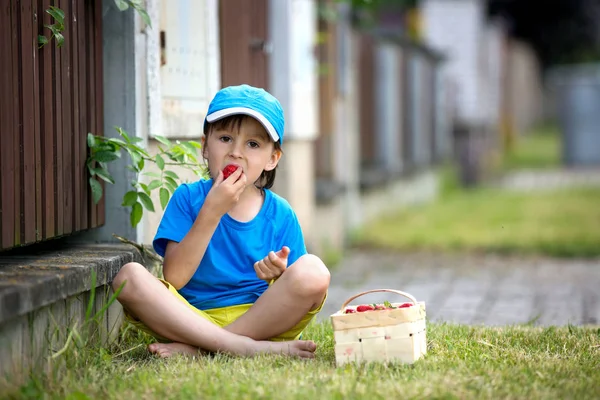 Édes imádnivaló kis gyerek, a fiú eszik szamóca, nyáron — Stock Fotó