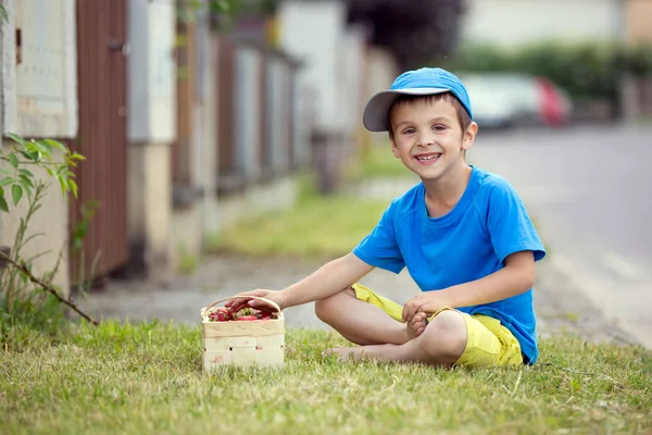 Süßes liebenswertes kleines Kind, Junge isst Erdbeeren, Sommer — Stockfoto