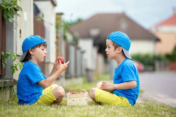 Dos adorables niños, hermanos varones, comiendo fresas , —  Fotos de Stock