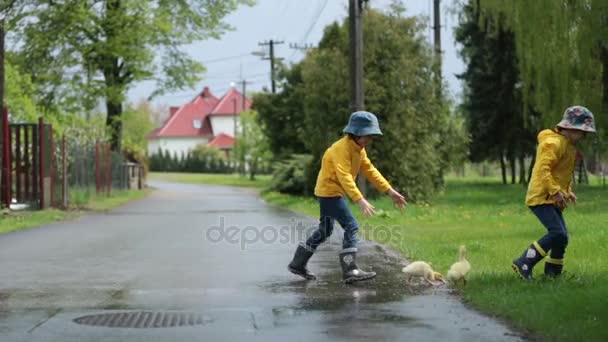 Schöne Kinder, die mit kleinen Entchen im Regen spielen, im Sommer — Stockvideo