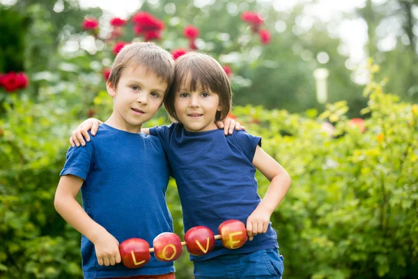 Bir aşk işaret tutan şirin küçük çocuklar, çocuk kardeşler, fr yapılmış — Stok fotoğraf
