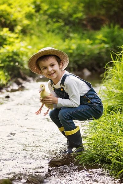 Süßes Kind, das auf kleinem Fluss mit Entchen spielt — Stockfoto