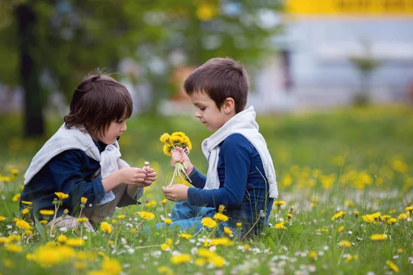 Sweet children, boys, gathering dandelions and daisy flowers — Stock Photo, Image