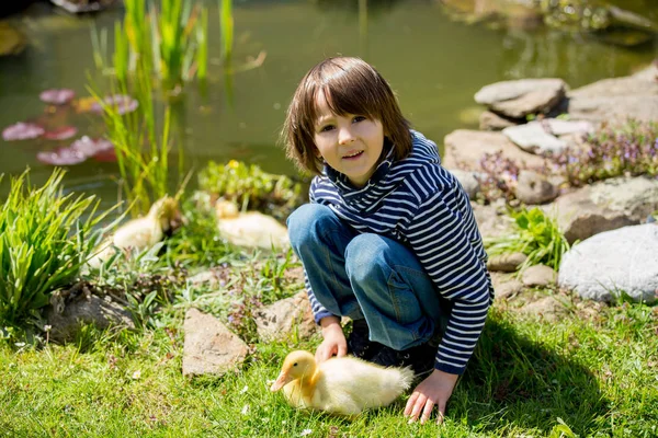 Beautiful little child, playing with ducklings on a little pond, — Stock Photo, Image