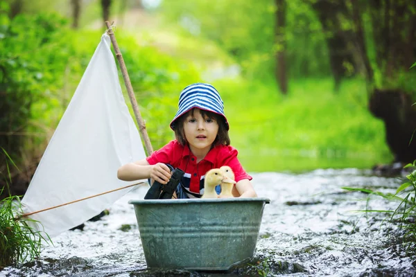 Criança bonito, menino, brincando com barco e patos em um pouco rive — Fotografia de Stock