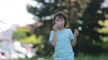 Eğleniyor, karahindiba üfleme çocuk. Çocukluk mutluluk kavramı, karahindiba ile oynayan çocuk