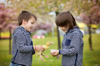 Ördek yavrusu ile parkta oynayan iki tatlı çocuk, çocuklar,
