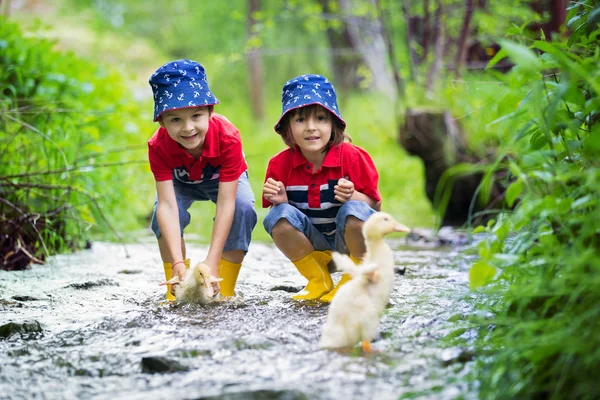 Słodkie dzieci, chłopak braci, grając z łodzi i kaczki na li — Zdjęcie stockowe