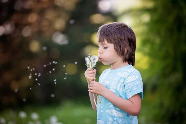 Child having fun, blowing dandelions — Stock Photo, Image