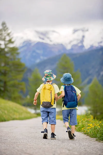 Due bambini, fratelli maschi, che camminano su un piccolo sentiero in Svizzera Al — Foto Stock