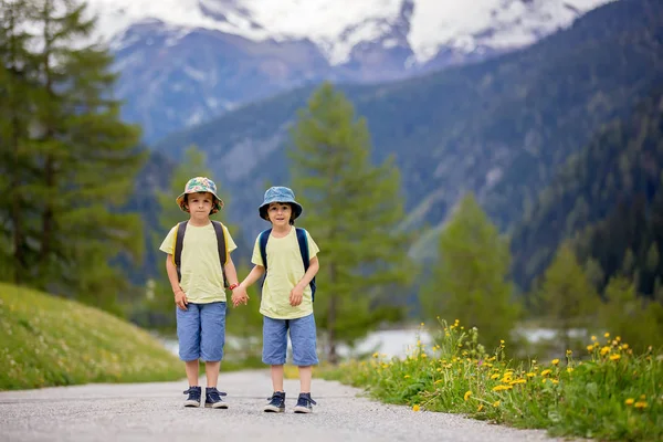 Two children, boy brothers, walking on a little path in Swiss Al — Stock Photo, Image