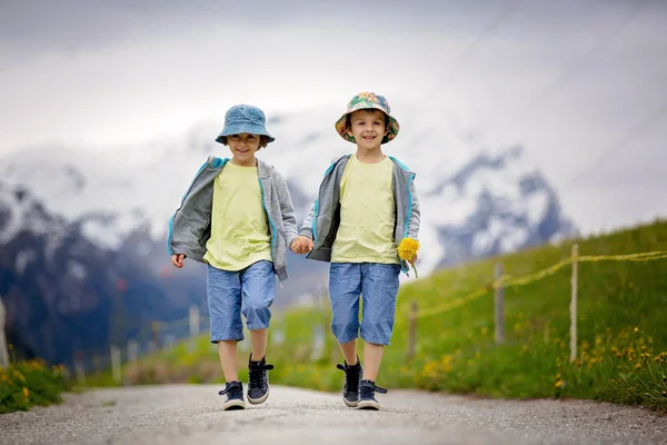Δύο παιδιά, αδέλφια αγόρι, περπατώντας σε ένα μικρό μονοπάτι στην Ελβετική Ap — Φωτογραφία Αρχείου