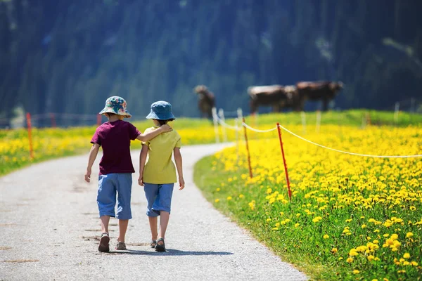 Glückliche Kinder auf einem ländlichen Pfad in den Schweizer Alpen, Frühling — Stockfoto