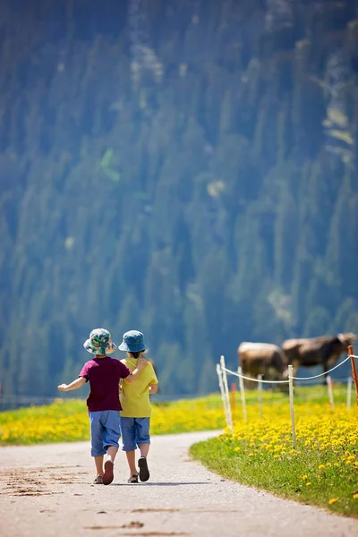 Niños felices caminando por un sendero rural en los Alpes suizos, primavera —  Fotos de Stock