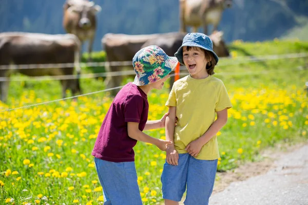 Des enfants heureux marchent sur un sentier rural dans les Alpes suisses, au printemps — Photo