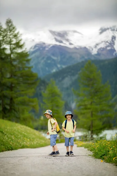 Due bambini, fratelli maschi, che camminano su un piccolo sentiero in Svizzera Al — Foto Stock