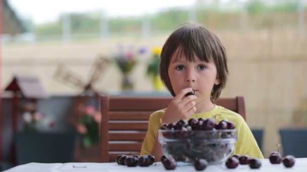 Söt liten pojke, äta sweet cherry utomhus, sitter på bord — Stockvideo