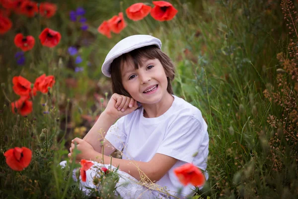 Preschool child in a poppy field, springtime — Stock Photo, Image