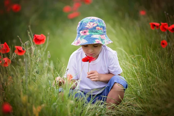 Předškolní dítě v makovém poli, jarní — Stock fotografie