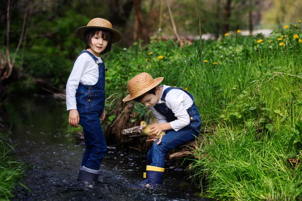 Děti, hrající na malé řece s ducklings — Stock fotografie