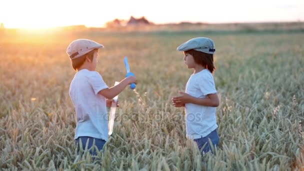 Dos niños, chicos, persiguiendo burbujas de jabón en un campo de trigo al atardecer — Vídeos de Stock