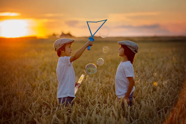 Dos niños, chicos, persiguiendo burbujas de jabón en un campo de trigo en el sol — Foto de Stock