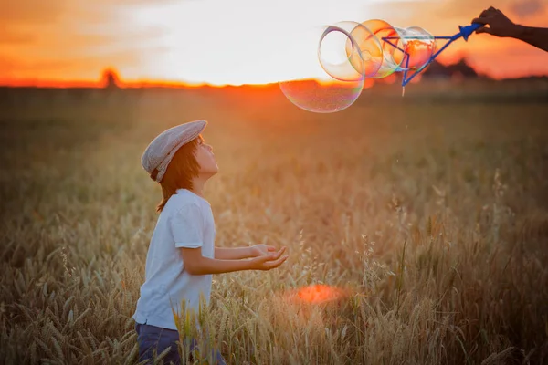 Cheerful child, boy, chasing soap bubbles in a wheat field on su — Stock Photo, Image