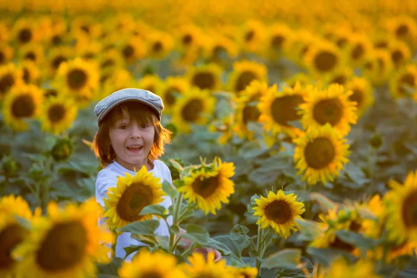 Roztomilé dítě s slunečnice v létě slunečnicová pole na západ slunce. — Stock fotografie