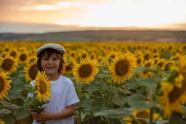 Bambino carino con girasole nel campo di girasole estivo al tramonto . — Foto Stock