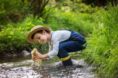 Ördek yavrusu ile little Nehri üzerinde oynayan tatlı çocuk