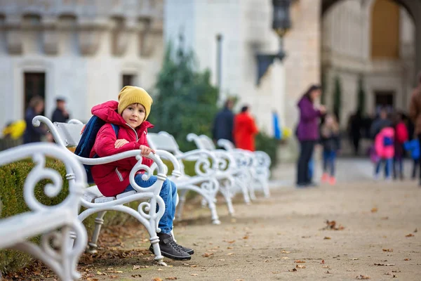 Симпатичный красивый ребенок, мальчик, сидит на скамейке перед beauti — стоковое фото