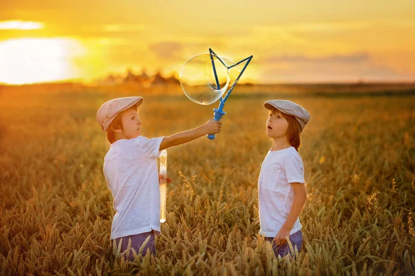 Zwei Kinder, Jungen, jagen Seifenblasen in einem Weizenfeld in der Sonne — Stockfoto