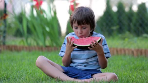 Joyeux petit enfant, garçon avec pastèque dans un jardin, été — Video