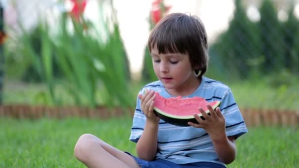Χαρούμενος μικρό παιδί, αγόρι με καρπούζι, έναν κήπο, καλοκαίρι — Αρχείο Βίντεο