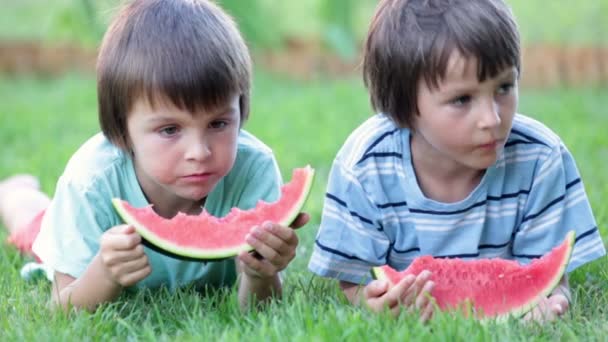 Glada lilla barn, pojke bröder med vattenmelon i en trädgård, summertime — Stockvideo