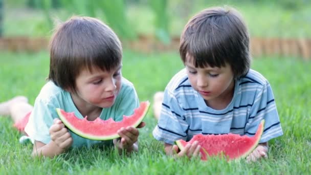 Glada lilla barn, pojke bröder med vattenmelon i en trädgård, summertime — Stockvideo